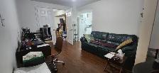 1 BEDROOM BASEMENT APARTMENT   LIVING   DINING (ERIN MILLS) - Photo 2