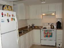 1 BEDROOM BASEMENT APARTMENT   LIVING   DINING (ERIN MILLS) - Photo 5