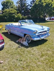 1954 Plymouth Belvedere convertible - Photo 13