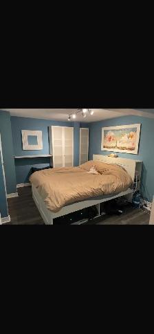 Basement Available in Milton from September first - Photo 5