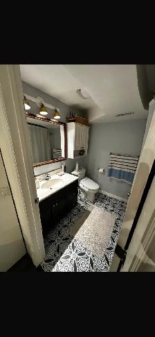 Basement Available in Milton from September first - Photo 7