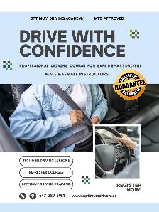 Wheels in Motion, Skills in Action" Driving Lessons