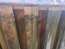 Power Washing, Gutter Cleaning - Photo 4