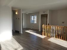 3 Bed   Den, 1.5 Bath  House for Rent - Lakeview Area