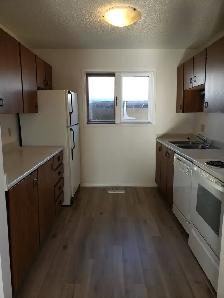 3 Bed   Den, 1.5 Bath  House for Rent - Lakeview Area - Photo 4