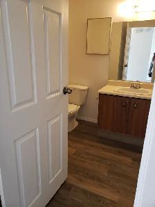 3 Bed   Den, 1.5 Bath  House for Rent - Lakeview Area - Photo 6