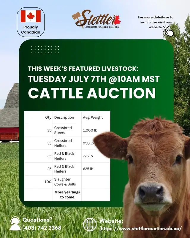 Stettler Auction – Livestock, Farm & Equipment Auctions