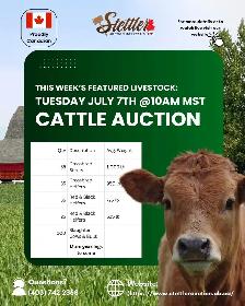 Stettler Auction – Livestock, Farm & Equipment Auctions