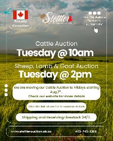 Stettler Auction – Livestock, Farm & Equipment Auctions - Photo 3