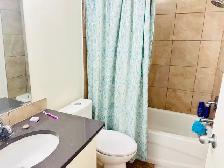 4bedrooms3.5bathroom single house in Saddle Ridge - Photo 9