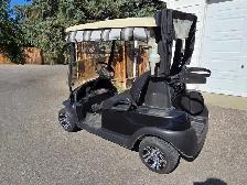 Electric Golf Cart - Photo 3