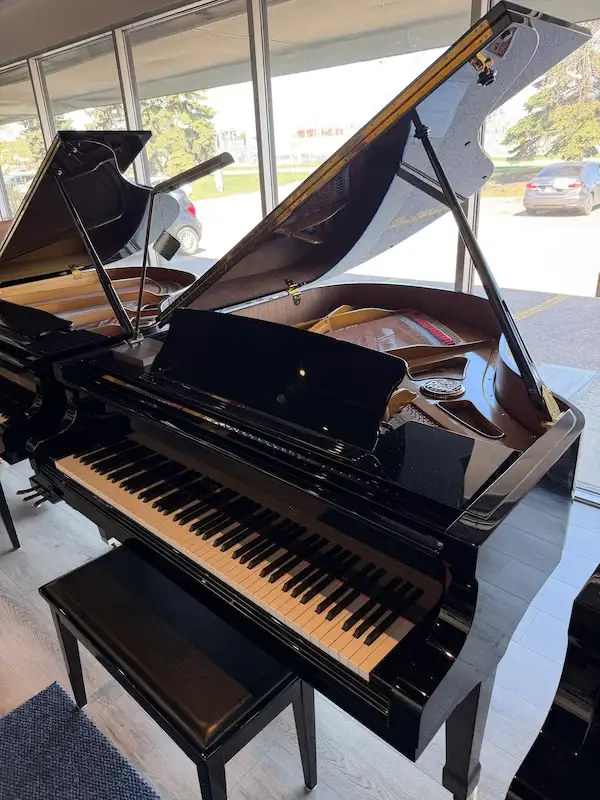 Petrof Handbuilt European Piano