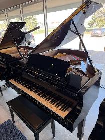 Petrof Handbuilt European Piano