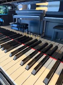Petrof Handbuilt European Piano - Photo 2