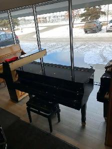 Petrof Handbuilt European Piano - Photo 6