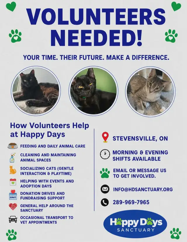 Animal Sanctuary Volunteers Needed at Happy Days Sanctuary