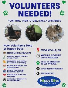 Animal Sanctuary Volunteers Needed at Happy Days Sanctuary