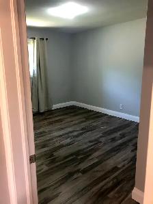 3 Bed 1 Bath House in Guelph - Photo 4