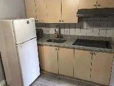 Downtown Toronto Bathurst & Dundas 1 bedroom basement apartment