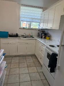 1 Bed apartment for rent from 1 August2026