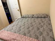 1 Bed apartment for rent from 1 August2026 - Photo 3