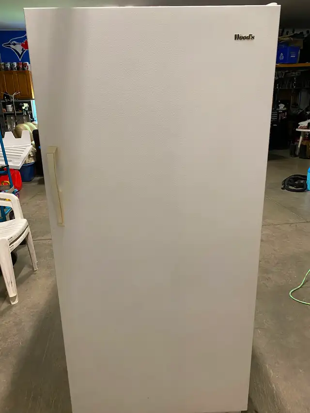 Stand up Freezer