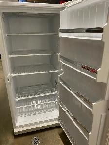 Stand up Freezer - Photo 2