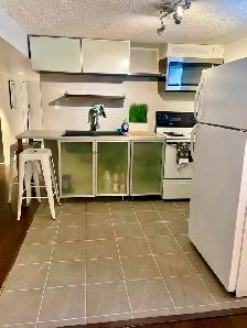 UTILITIES INCLUDED,BRIGHT LARGE BDRM WITH PRIV.WASHROOM - Photo 9