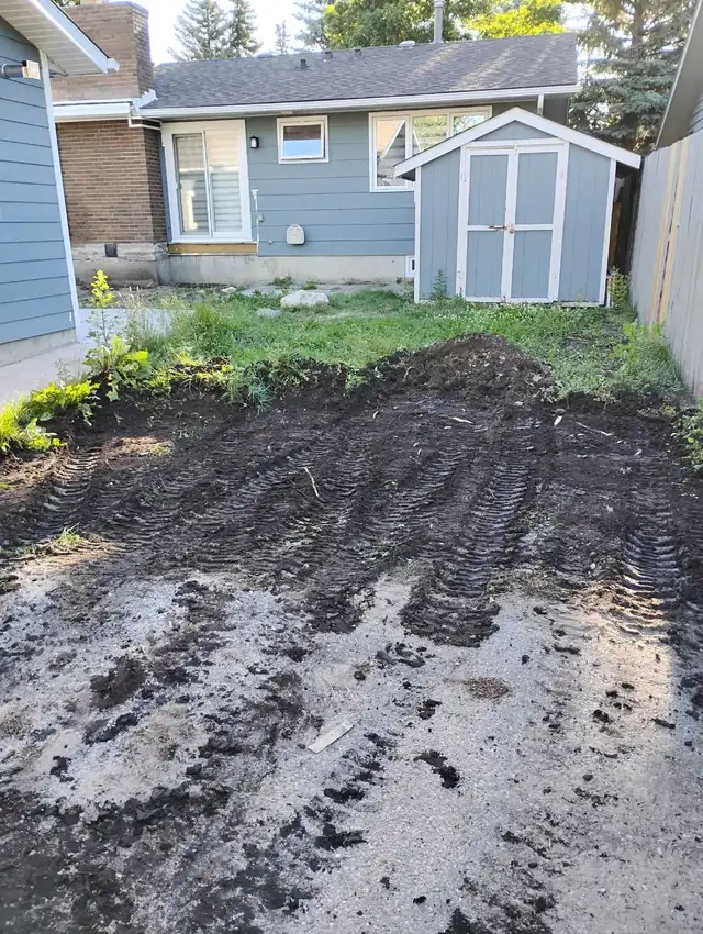 Grass Removal Dirt removal Landscaping