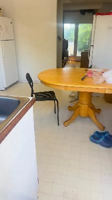 5 min Walk to Lions Park Ctrain/ 2min North Hill Shoping Mall - Photo 2