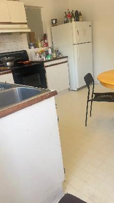 5 min Walk to Lions Park Ctrain/ 2min North Hill Shoping Mall - Photo 3
