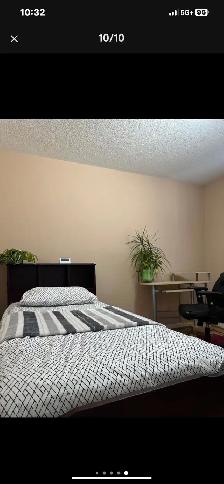 Brampton furnished Private Room,Near to Bus stop - Photo 8