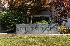 Westchester Apartment Rentals: Bachelor, 1 bed, 2 bed Available! - Photo 16
