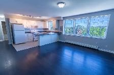 Westchester Apartment Rentals: Bachelor, 1 bed, 2 bed Available! - Photo 19