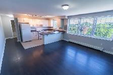 Westchester Apartment Rentals: Bachelor, 1 bed, 2 bed Available! - Photo 25