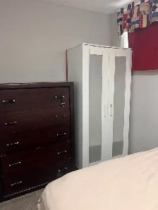One Bedroom Basement for Rent - Near C-Train - Photo 2
