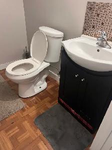 One Bedroom Basement for Rent - Near C-Train - Photo 5