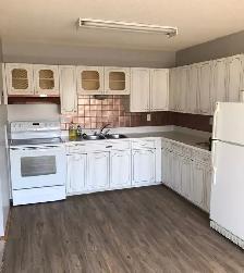 Olds, Alberta Upper Suit (4-Plex) - Photo 8