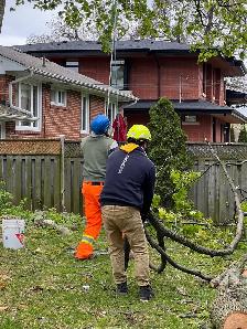 Looking for a Full-time Groundman (Tree services company) - Photo 2