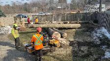 Looking for a Full-time Groundman (Tree services company) - Photo 3