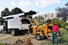 Looking for a Full-time Groundman (Tree services company) - Photo 4