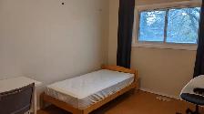 4 Bedrooms plus 2 Bathroom house for Sublet from Sept 1, 2026 - Photo 2