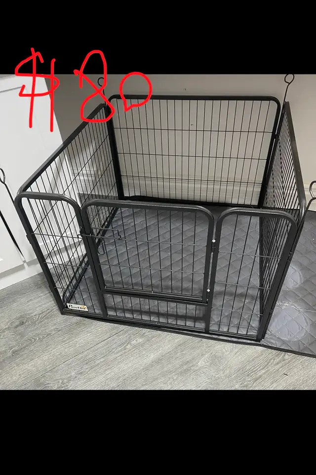 Brand New Dog Supplies for Sale