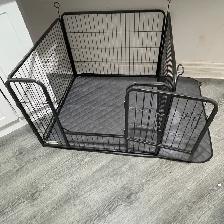 Brand New Dog Supplies for Sale - Photo 2