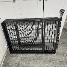 Brand New Dog Supplies for Sale - Photo 4
