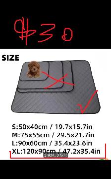 Brand New Dog Supplies for Sale - Photo 8