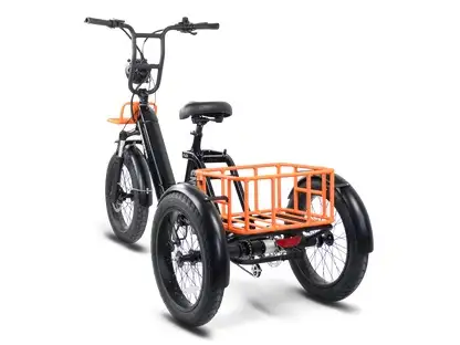 Electric bike Envo Flex  3 wheeler