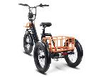 Electric bike Envo Flex  3 wheeler