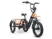 Electric bike Envo Flex  3 wheeler - Photo 2