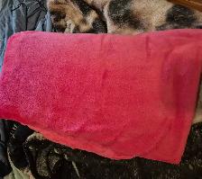HOT pink Kate Spade blanket -queen - Photo 2